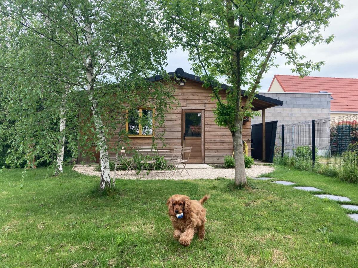 Chalet Proche Orleans Centre Saint-Jean-le-Blanc Exterior photo