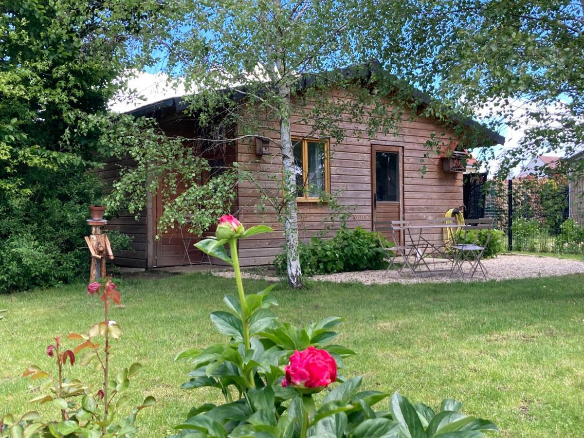 Chalet Proche Orleans Centre Saint-Jean-le-Blanc Exterior photo